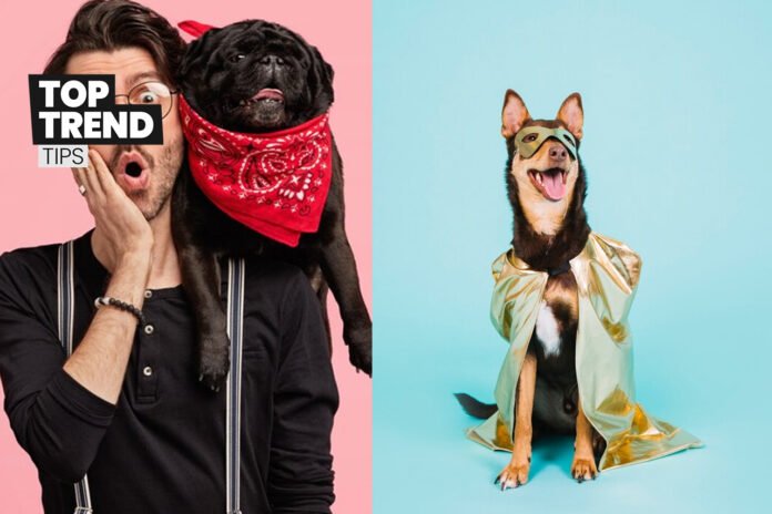 The Craziest Pet Costumes You Won’t Believe Exist Get Ready to Laugh